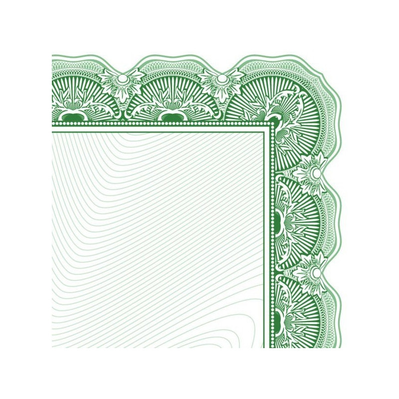 Dyplom A4 ARNIKA 170g (25ark) 210417 GALERIA PAPIERU