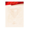 Dyplom A4 SPORT N 170g (25ark) 212317 Galeria Papieru