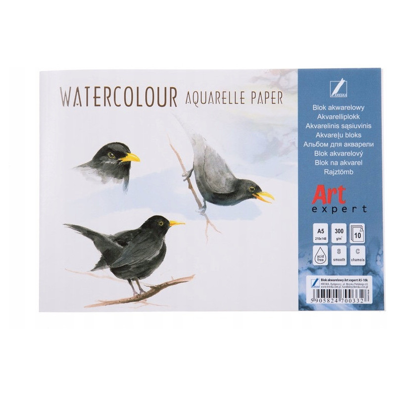 Blok akwarelowy A5 10k 300g Art Expert KRESKA