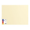 Blok karton kolorowy CREATINIO A1 160g 25 arkuszy nr.12 kremowy 400149521 TOP 2000