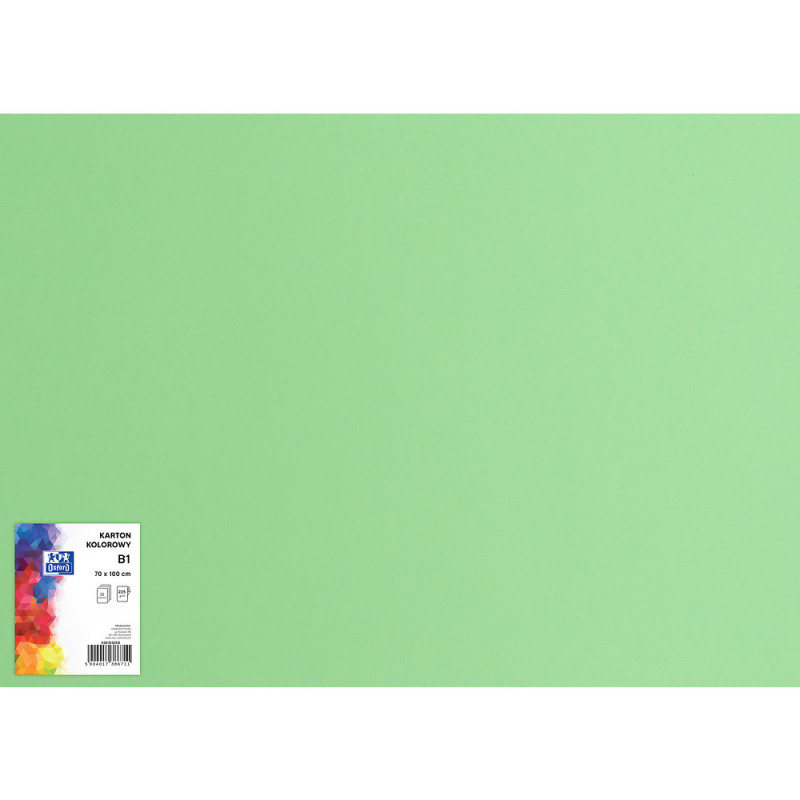 Blok karton kolorowy CREATINIO B1 225g 25 arkuszy nr.69 zielony 400150266 TOP 2000