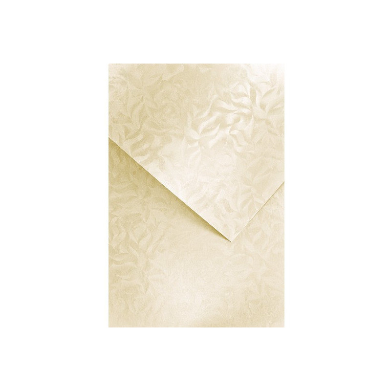 Karton ozdobny A4 OLYMPIA kremowy 220g (20) 203422 GALERIA PAPIERU