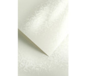 Karton ozdobny A4 OLYMPIA perłowa biel 220g (20) 203403 GALERIA PAPIERU