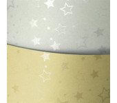 Karton ozdobny A4 STARS srebrny 220g (20ark.) 204305 Galeria Papieru