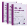 Kalka ołówkowa A3 100 arkuszy DELFIN