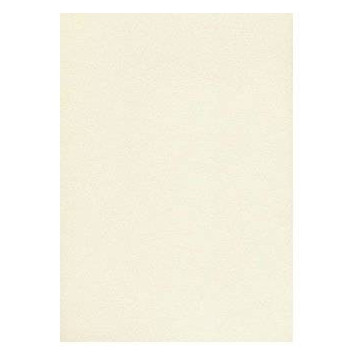 Karton wizytówkowy A4 tłoczony ecrue W20 (20) 200g KRESKA Karton wizytówkowy A4 tłoczony ecrue W20 (20) 200g KRESKA