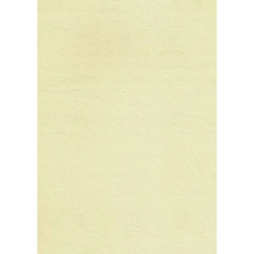 Karton wizytówkowy A4 KRESKA 246g (20 arkuszy) W45 tapeta ecrue