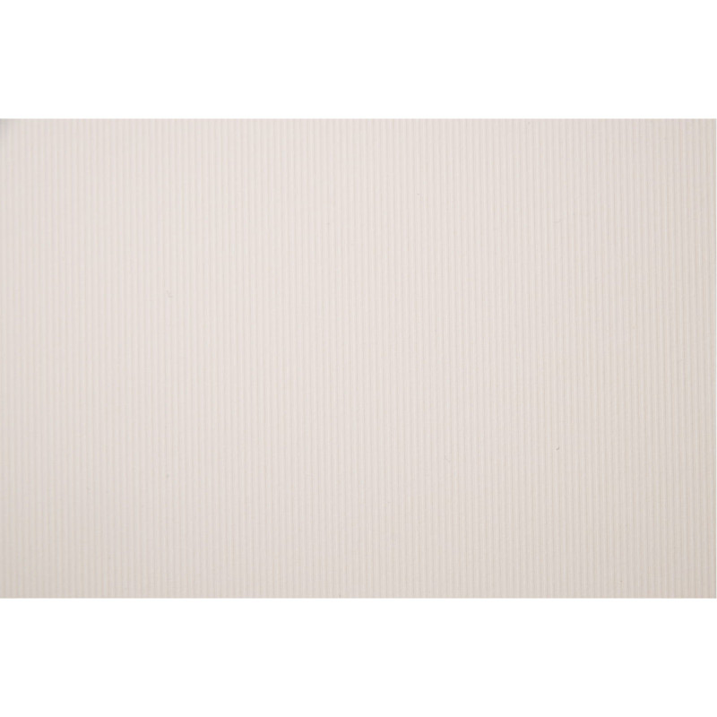 Karton wizytówkowy 246g (20 arkuszy) W48 linia ecru KRESKA