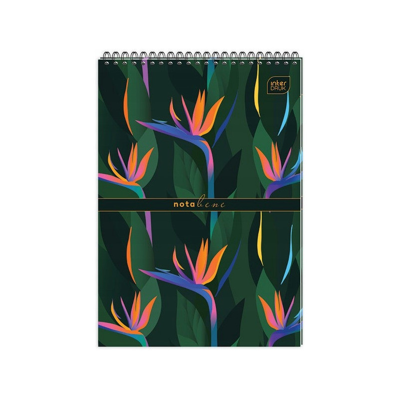 Kołonotatnik A6 100k kratka spirala góra INTERDRUK