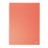 Kołonotatnik Colour`Breeze A4 w kratkę koralowy 628478 ESSELTE