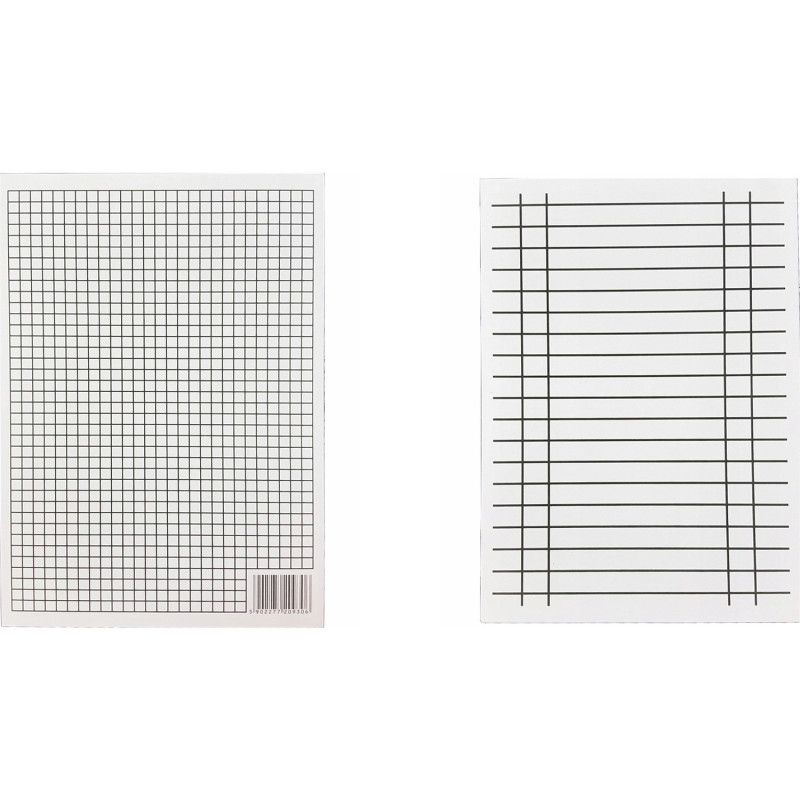 Liniuszek A4  /|| (10ark.) INTERDRUK