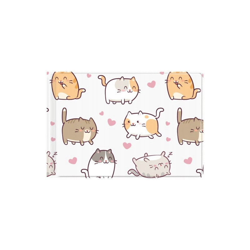 Okładka na dokumenty ucznia mała z nadrukiem KITTENS OD-31-35 BIURFOL