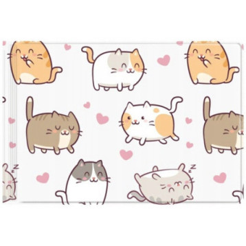 Okładka na dokumenty ucznia mała z nadrukiem KITTENS OD-31-35 BIURFOL