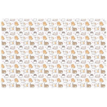 Podkład na biurko 58x38 z nadrukiem KITTENS NPB-02-35 BIURFOL