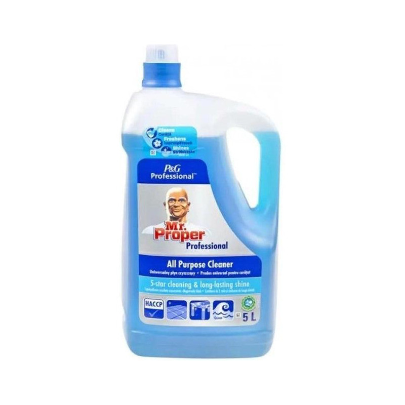 Płyn MR.PROPER 5L do mycia uniwersalny Ocean P&G Professional
