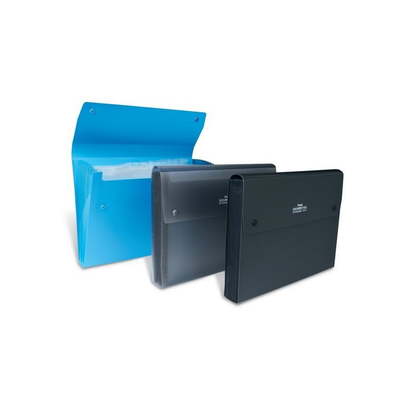 Teczka harmonijkowa A4 13kiesz. DCD14AT czarna przezroczysta PENTEL