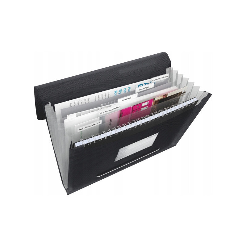 Teczka z przegródkami ESSELTE VIVIDA czarna 624017