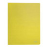 Album ofertowy Recycle 20 koszulek A4 PP żółty 46760015 LEITZ