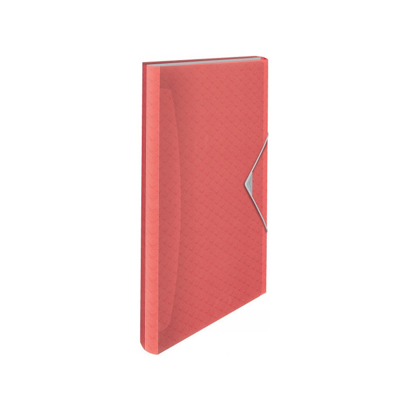 Teczka z przegródkami Esselte Colour`Breeze 6 przegródek koralowy 628447