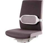 Podpórka pod plecy I-SPIRE 8042201 FELLOWES