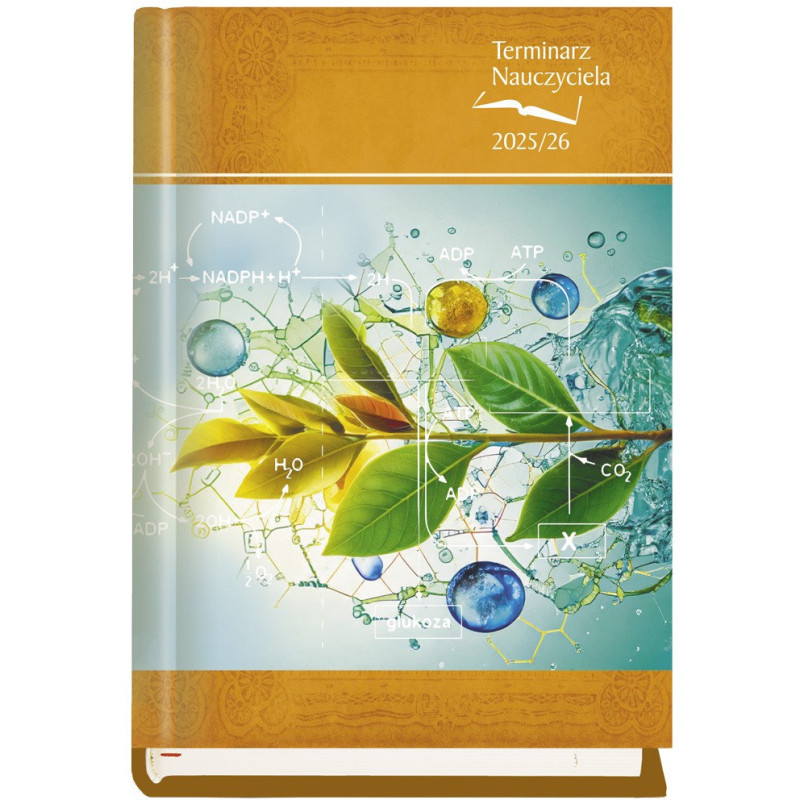 Terminarz NAUCZYCIELA 2024/2025 T-155F-02 Michalczyk i Prokop