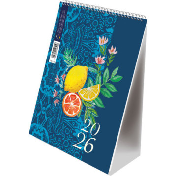 Kalendarz ze spiralką pionowy 2024 T-101-3-16 Michalczyk i Prokop