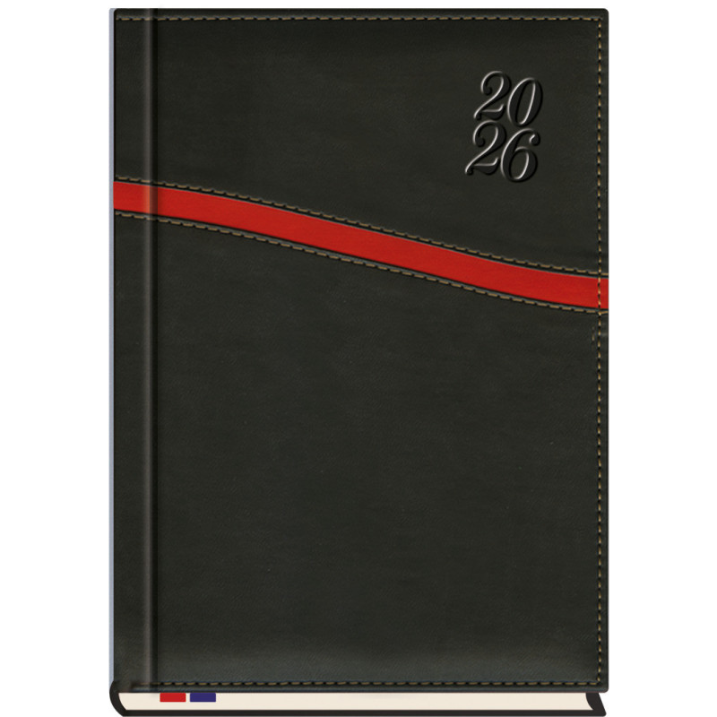 Terminarz B5 Asesor T-249K-01 Michalczyk i Prokop