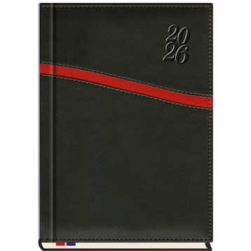 Terminarz B5 Asesor T-249K-01 Michalczyk i Prokop