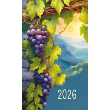 Terminarz Mini T-MINI-08 Michalczyk i Prokop