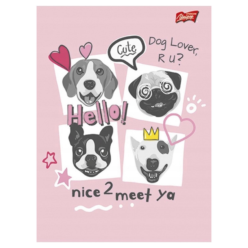 Zeszyt A5 32k linia dwukolorowa laminowany mix dziewczęcy UNIPAP