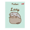 Zeszyt szkolny A5 32 kartki w kratkę laminowany PUSHEEN ST.MAJEWSKI