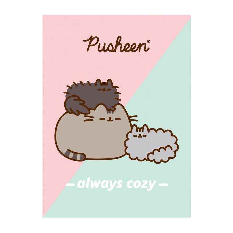 Zeszyt szkolny A4 32 kartki w kratkę laminowany PUSHEEN ST.MAJEWSKI