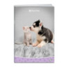 Zeszyt A5 32k kratka okładka miękka SWEET PETS EL-M13-032-KA5 ELISA