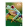Zeszyt A5 32k linia okładka miękka WILD EL-M6-032-LA5 ELISA