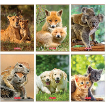 Zeszyt A5 32k 3linia ANIMALS 9583071 HERLITZ