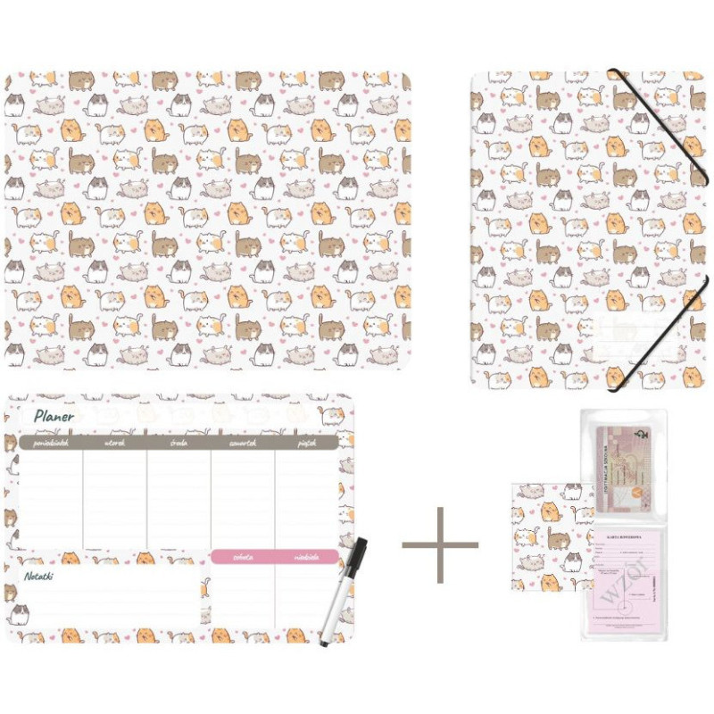 Zestaw szkolny z nadrukiem KITTENS KPL-NADRUK-01-35 BIURFOL