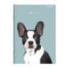 Zeszyt A5 96k linia margines 70g ANIMAL 400169468 TOP 2000