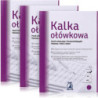 Kalka ołówkowa A3 100 arkuszy DELFIN