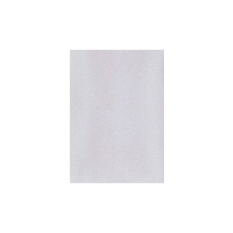 Karton wizytówkowy A4 tłoczony srebry W52 (10) KRESKA 215g