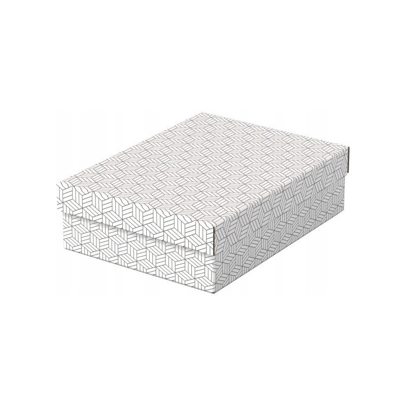 Pudełka domowe do przechowywania płaskie rozmiar M 3 sztuki białe 628284 ESSELTE