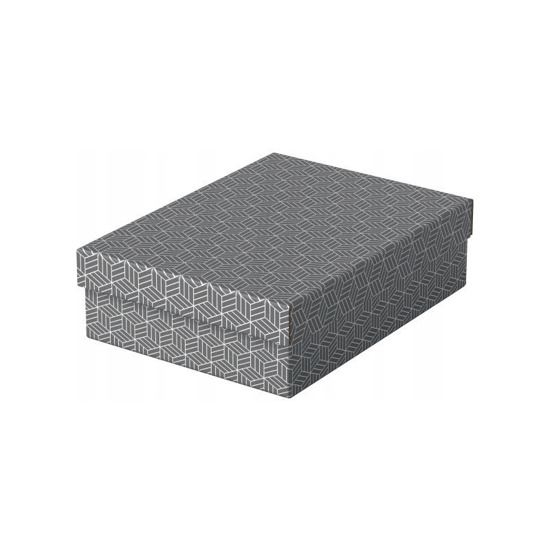 Pudełka domowe do przechowywania płaskie rozmiar M 3 sztuki szare 628285 ESSELTE