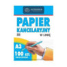 Papier kancelaryjny A3 linia (100) INTERDRUK