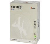 Papier ksero A4 160g MAESTRO COLOR GR21 szary 250a