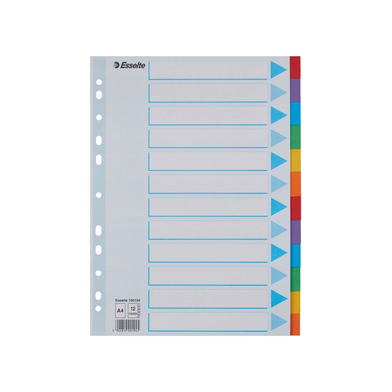 Przekładki kolorowy karton z kartą opisową A4 100194 12 kart ESSELTE