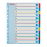 Przekładki kartonowe MYLAR A4 MAXI 1-12 ESSELTE 100209