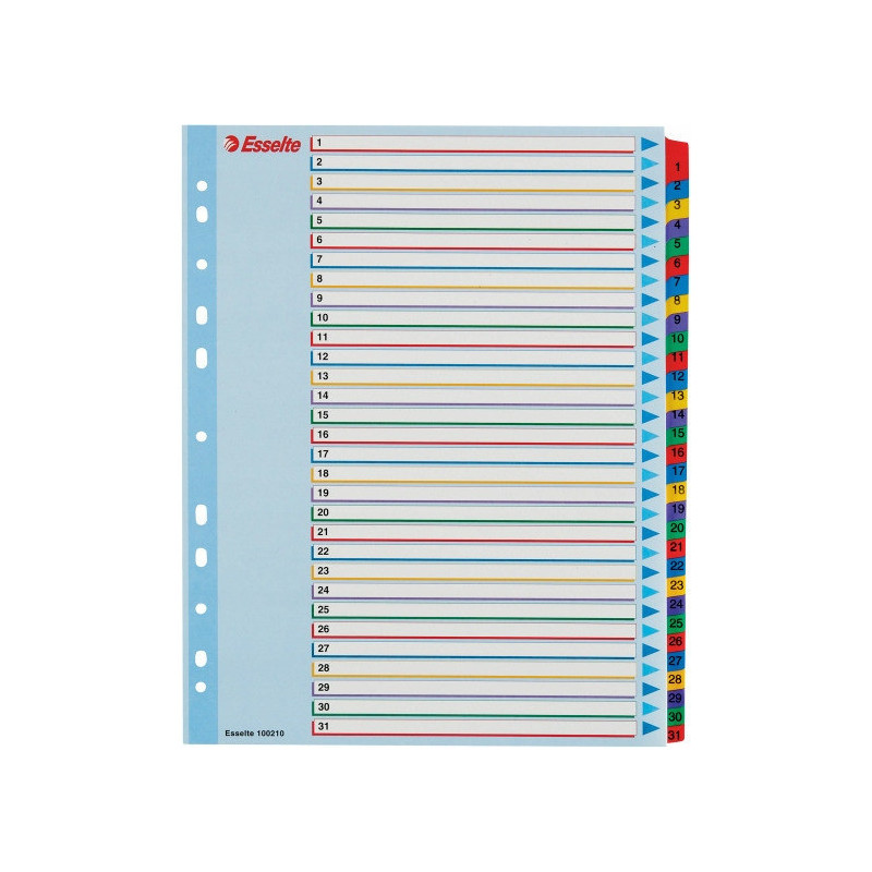 Przekładki kartonowe MYLAR A4 MAXI 1-31 ESSELTE 100210