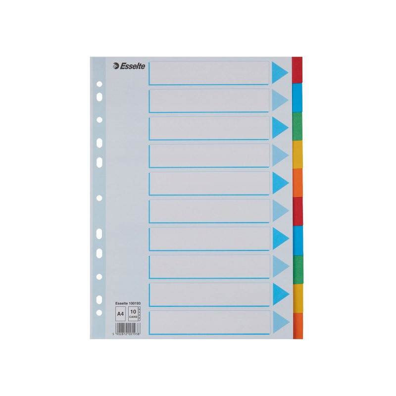 Przekładki karton A4 10 kart ESSELTE 100193 kolorowe z kartą opisową