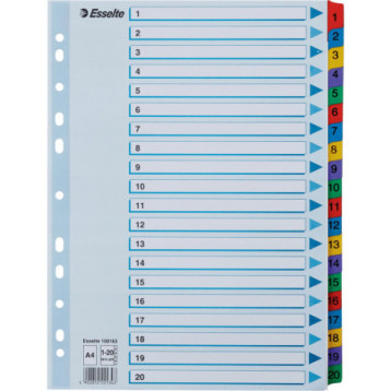 Przekładki kartonowe MYLAR A4 1-20 białe 100163 ESSELTE Przekładki kartonowe MYLAR A4 1-20 białe 100163 ESSELTE