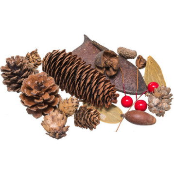 Susz dekoracyjny 30 40g SD 5 BREWIS