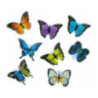 Naklejki dwuwarstwowe 3D MOTYLE 8 szt. 491048 TITANUM